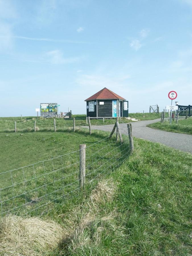 Zeeuwse Zot Bed and Breakfast Wissenkerke Eksteriør billede